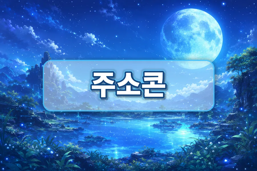 주소콘 주소모음 링크모음 사이트모음 대표 안내 이미지