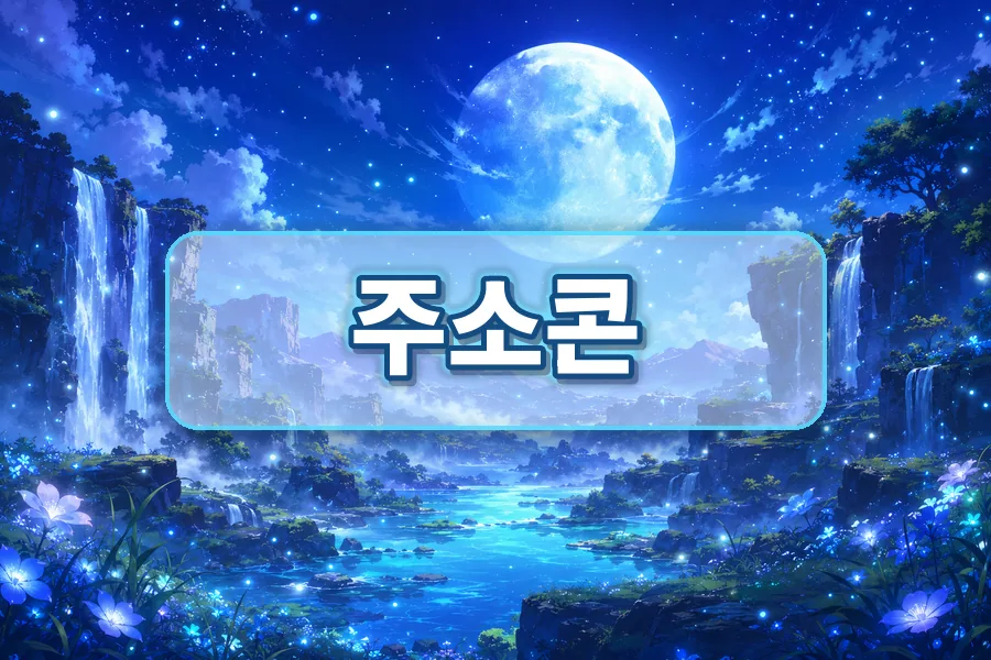 주소콘 트렌드형 사이트모음 안내 이미지