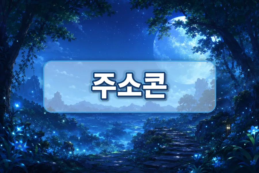 주소콘 이용 순서와 링크모음 확인 이미지